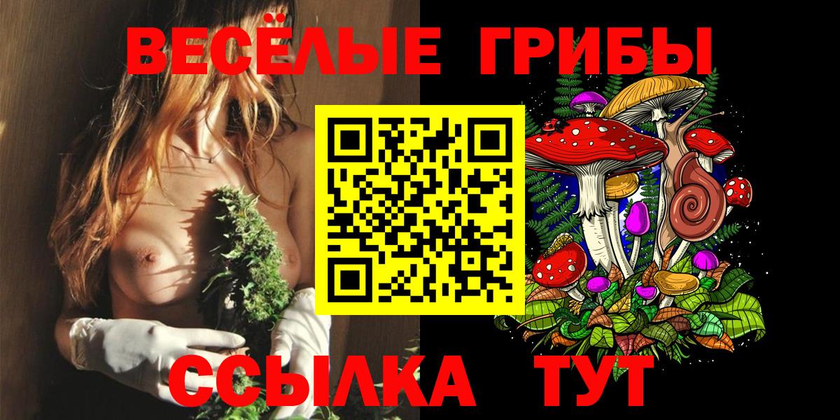 Галлюциногенные грибы Psilocybine cubensis Уварово